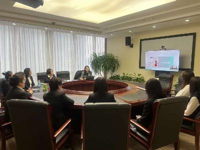 探望权纠纷代理：以精细化策略破解 “探视困局”